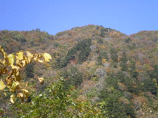 c0118352_9313613.jpg