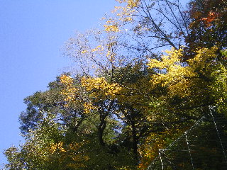 c0118352_932682.jpg