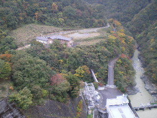 c0118352_9522648.jpg