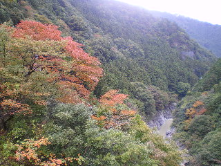 c0118352_99323.jpg