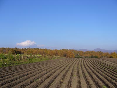 b0045357_15235013.jpg
