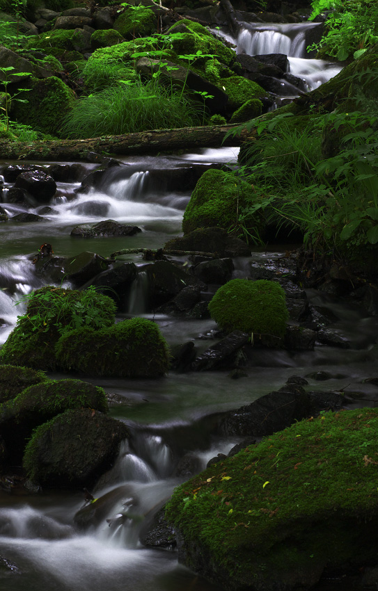 f0036357_3553336.jpg