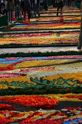 Infiorata_a0098859_2328066.jpg