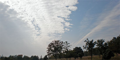 b0065067_04425.jpg