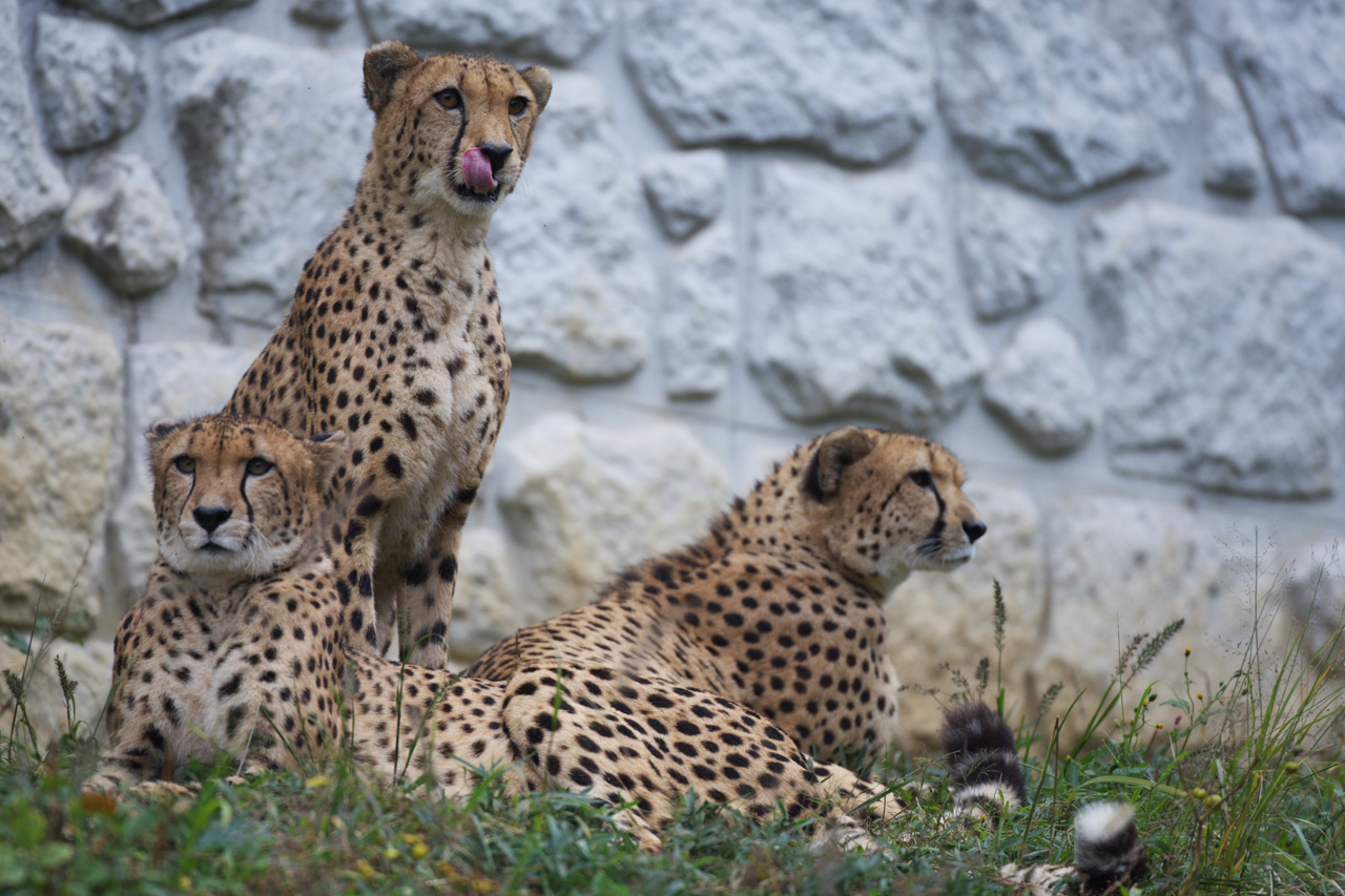 多摩動物公園180_e0060169_774425.jpg