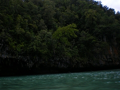 b0056570_2364510.jpg