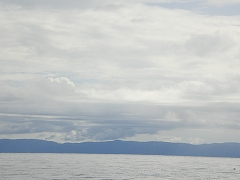 b0056570_2404720.jpg