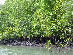 b0056570_2424841.jpg
