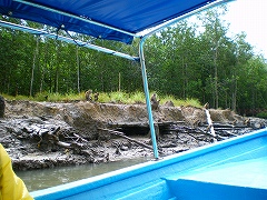 b0056570_2442463.jpg