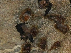 b0056570_247868.jpg
