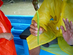 b0056570_2482678.jpg