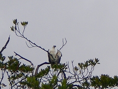b0056570_2553697.jpg