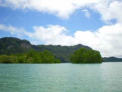 b0056570_324885.jpg