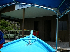 b0056570_333262.jpg