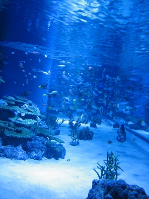e0015270_126131.jpg