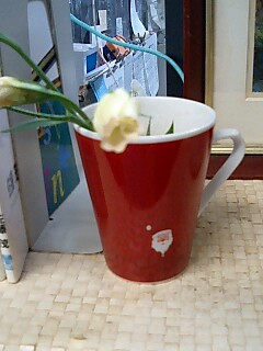 f0046670_3214375.jpg