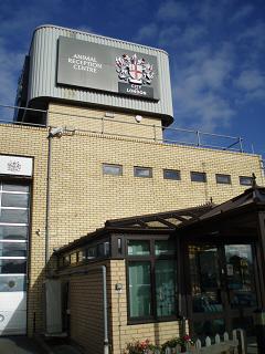 c0139972_5594711.jpg
