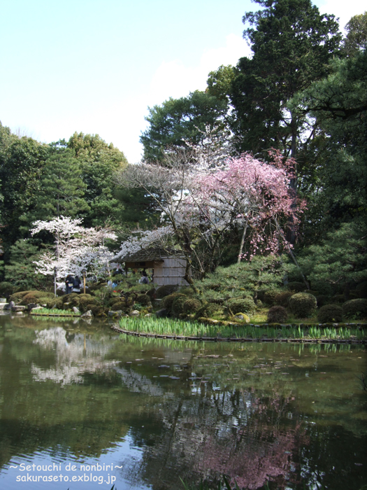 京都で桜　＃６　平安神宮２_c0120976_19185889.jpg