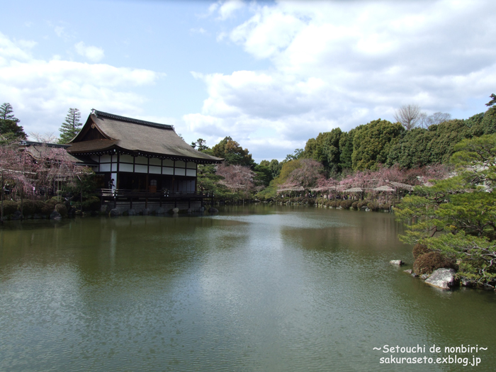 京都で桜　＃６　平安神宮２_c0120976_1922991.jpg