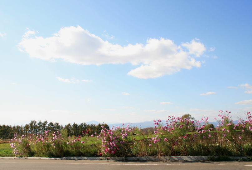c0112479_1737885.jpg