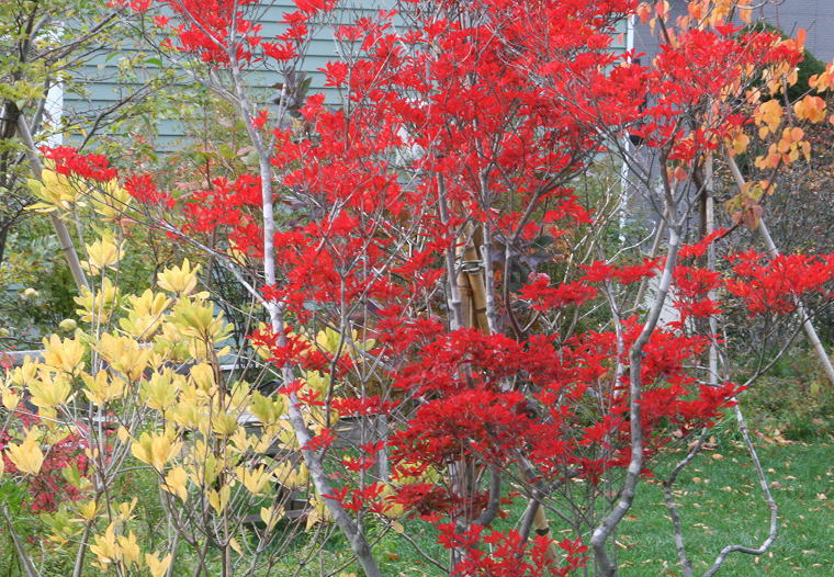 c0112479_813233.jpg