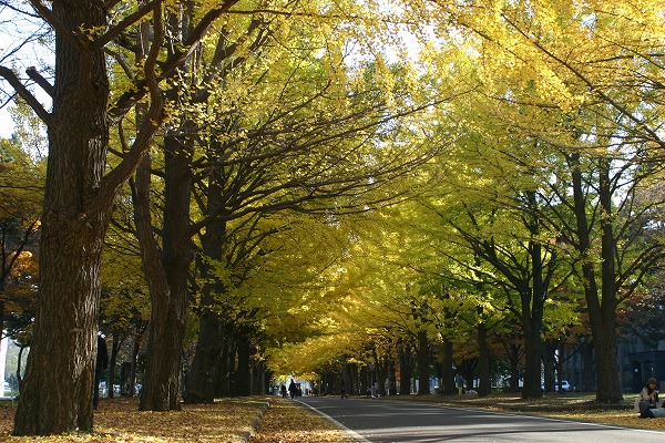 b0003280_13483890.jpg