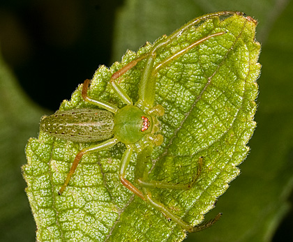 c0002682_12273619.jpg