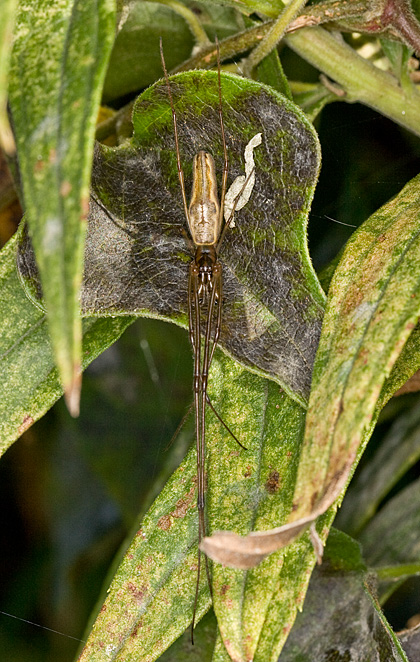c0002682_12315872.jpg