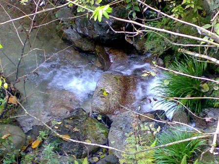 e0070286_13252941.jpg
