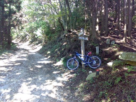 e0070286_1363639.jpg