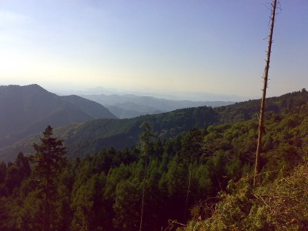 e0070286_1392059.jpg