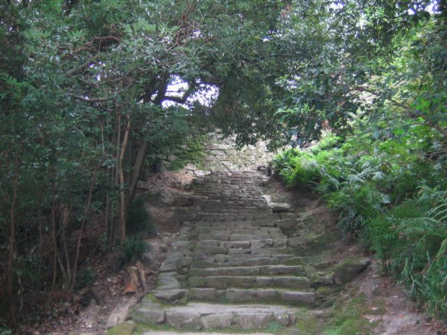 f0140087_1153254.jpg
