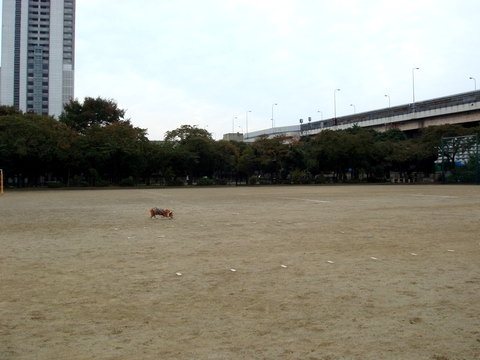 b0116497_21481295.jpg