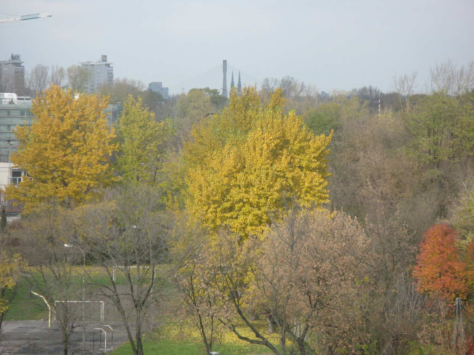 f0129897_895932.jpg