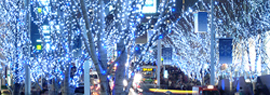 b0059000_13201293.jpg