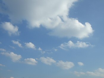 c0050400_9412629.jpg