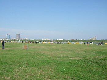 c0050400_9414166.jpg