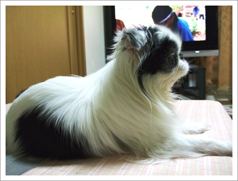 d0079302_214225.jpg