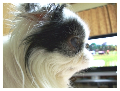 d0079302_234120.jpg