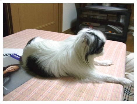 d0079302_25821.jpg