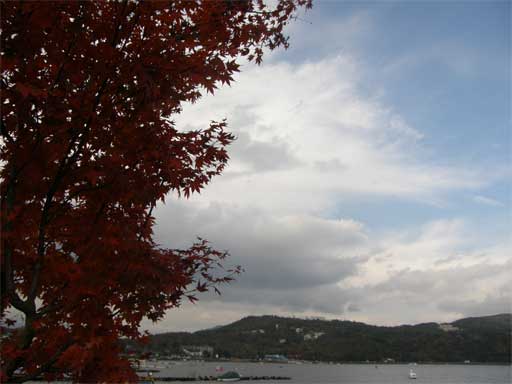 f0036603_22225036.jpg