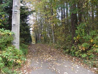 f0036603_22363954.jpg