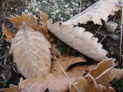 f0138304_10515874.jpg
