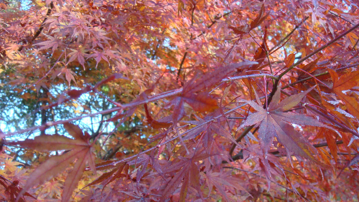f0138304_10535950.jpg