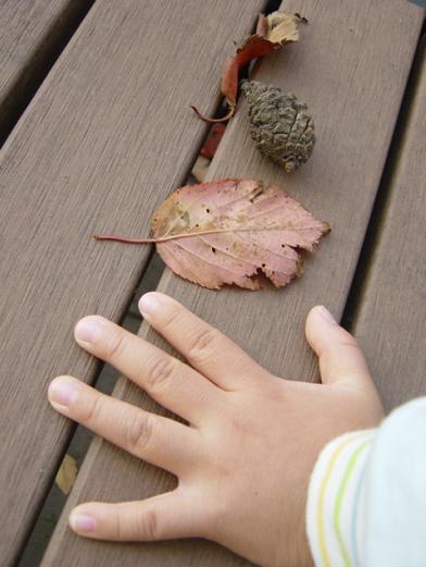 c0134408_13381525.jpg