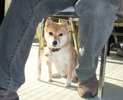 さつきの運動神経恐るべし！！　＆　番外・インド編_f0004309_10363843.jpg