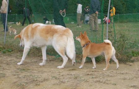 さつきの運動神経恐るべし！！　＆　番外・インド編_f0004309_10441852.jpg