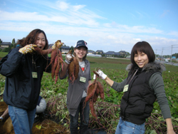 b0076710_17244596.jpg