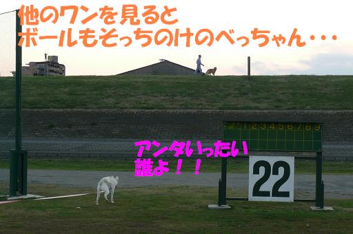f0121712_10403687.jpg