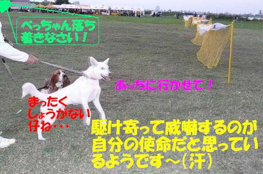 f0121712_1040443.jpg